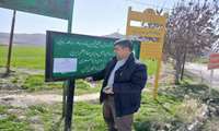 بازدید از مزارع گندم آبی شهرستان مانه